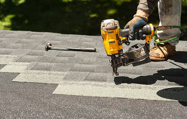 Best Roof Moss and Algae Removal  in North Bennington, VT